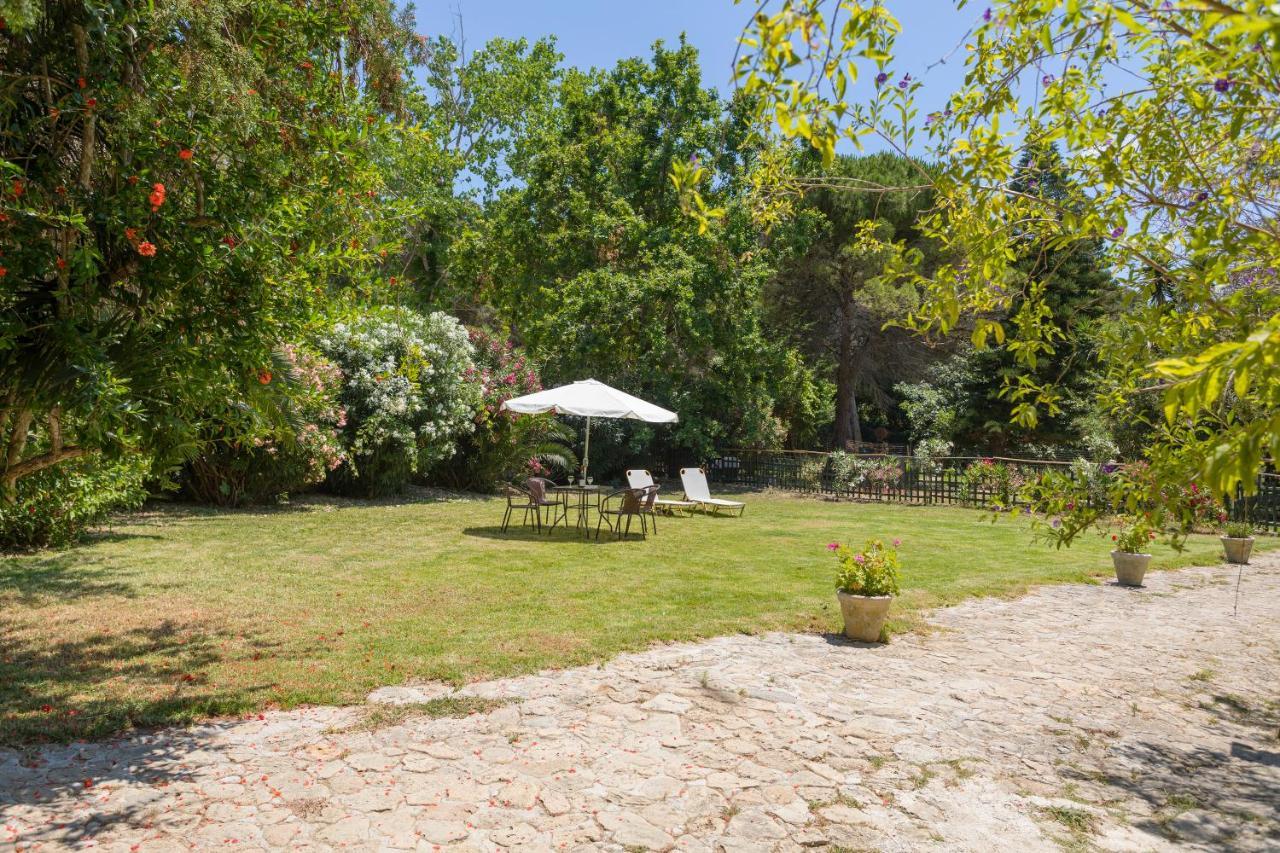 Jianni'S Villa - Stone Villa In The Greenery!! Vasilikí エクステリア 写真